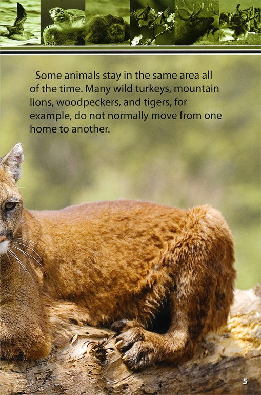 Amazing Migrating Animals Designed By God Advanced Reader Series (top)