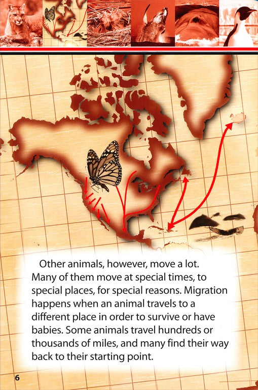Amazing Migrating Animals Designed By God Advanced Reader Series (top)