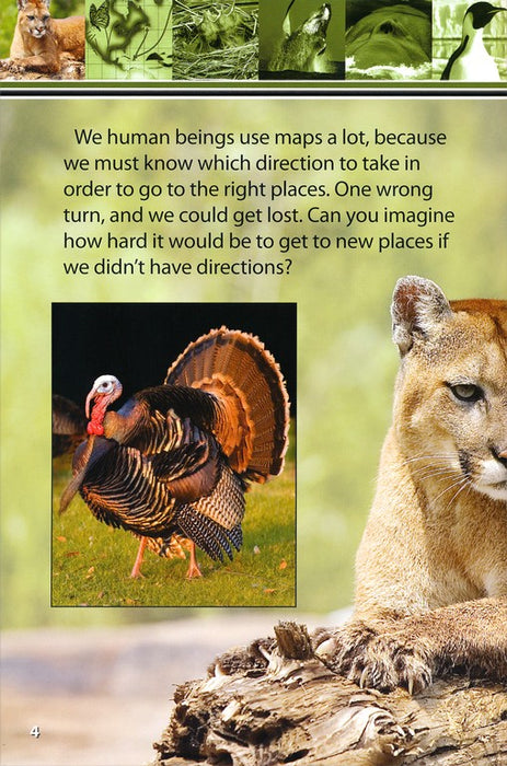 Amazing Migrating Animals Designed By God Advanced Reader Series