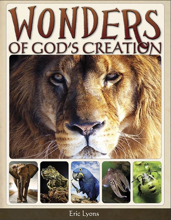 Wonders of God's Creation