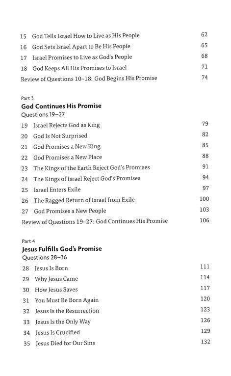 The Big Picture Family Devotional