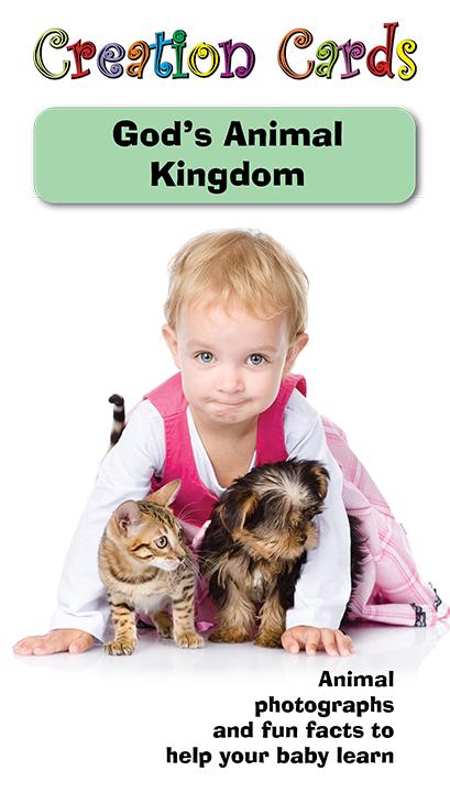 Creation Cards: God's Animal Kingdom