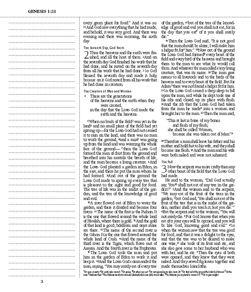 ESV Journaling Bible Elegant Grace TruTone