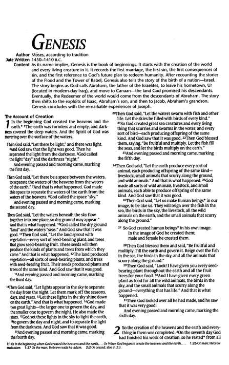 NLT Gift and Award Bible Burgundy