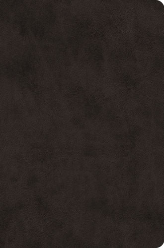 ESV Value Compact Bible Black TruTone