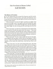 Excerpt: Genesis