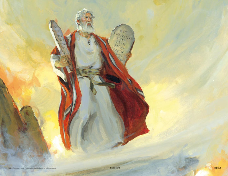 Journey to Sinai (Life of Moses Series 2) - Abeka Flash-A-Card