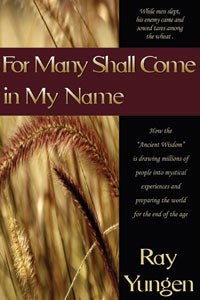 For Many Shall Come in My Name:  New Age in Society
