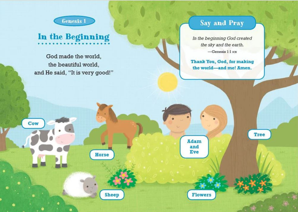 Say & Pray Bible: First Words, Stories, and Prayers