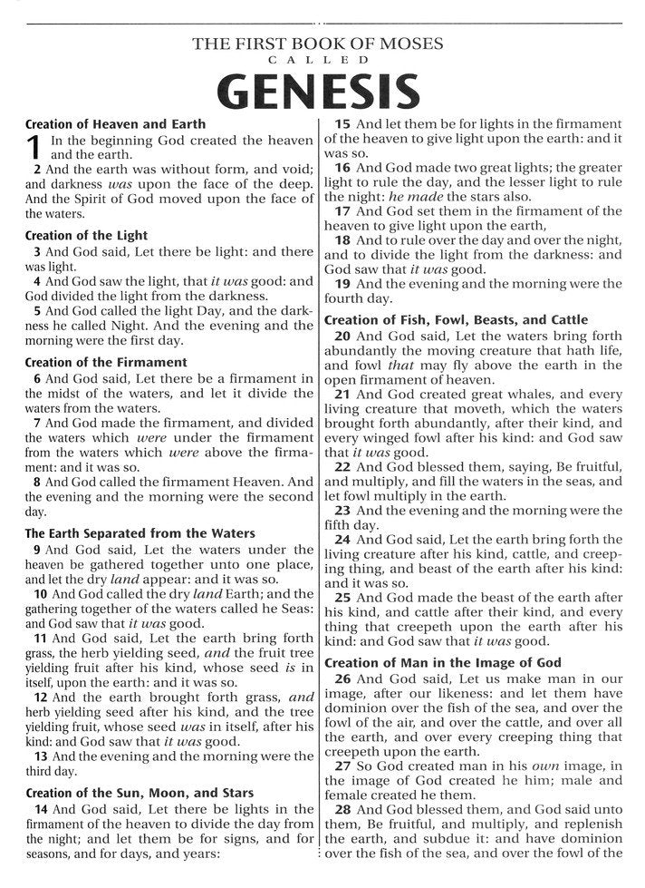 KJV Family Bible Brown