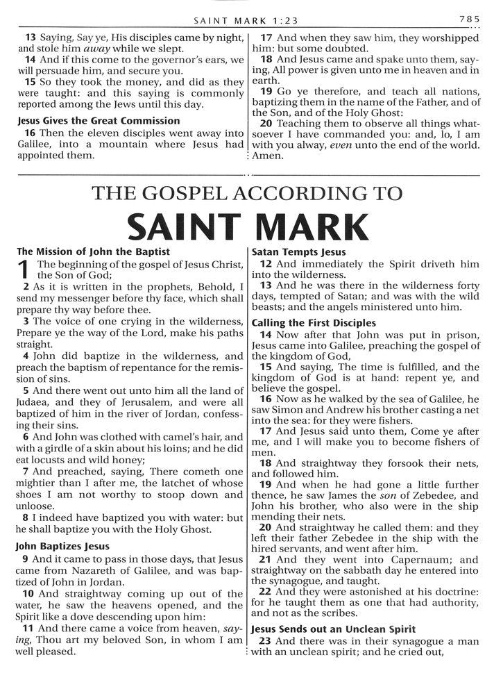 KJV Family Bible Brown