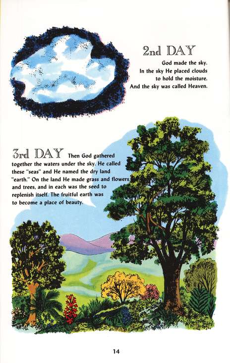 The Picture Bible - Hardcover