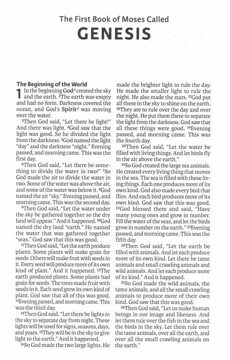 ICB International Children's Bible Leathersoft