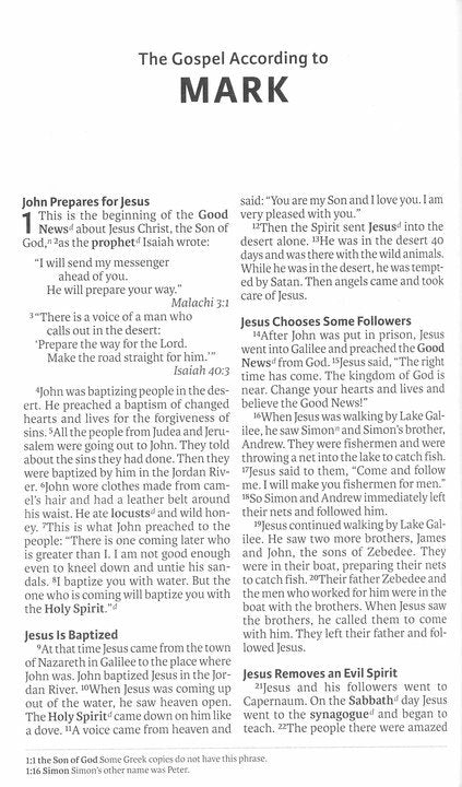 ICB International Children's Bible Leathersoft