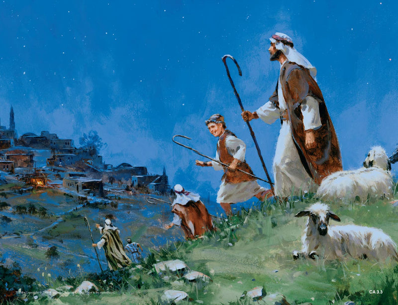 First Christmas (Life of Christ Series 1) - Abeka Flash-A-Card