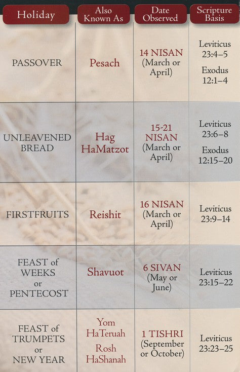 Feasts of the Bible Pamphlet