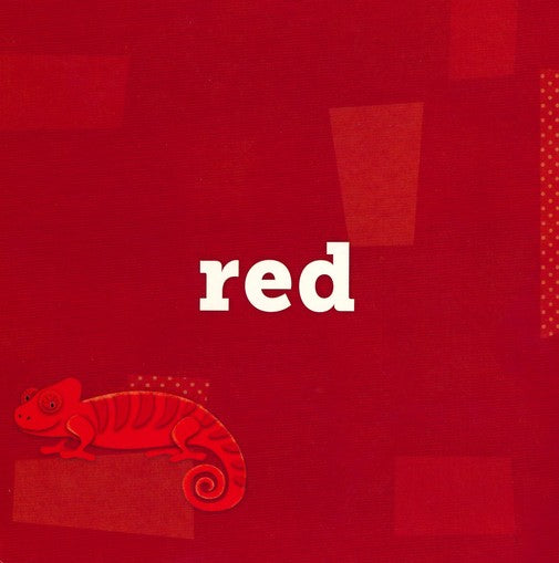 All the Colors That I See