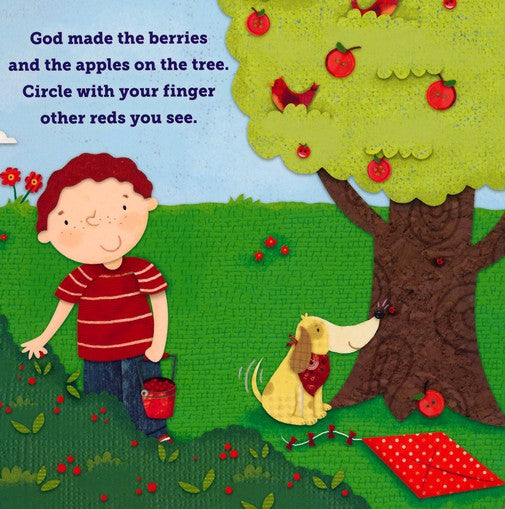 All the Colors That I See