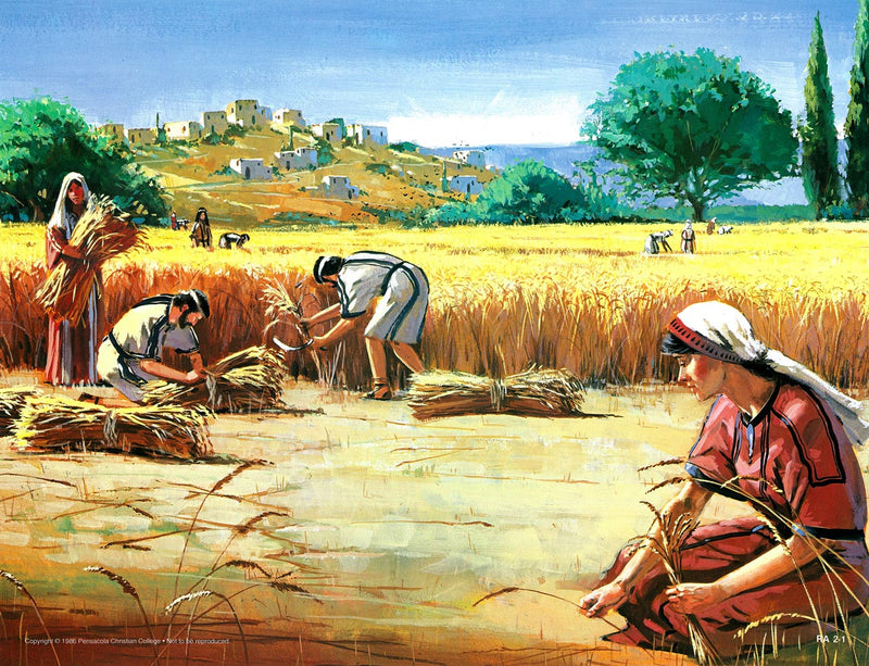 Ruth - Abeka Flash-A-Card