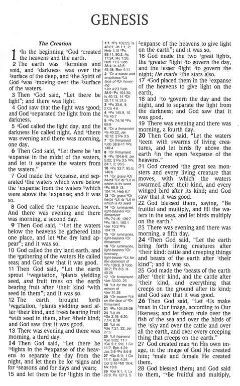 NASB 1995 Ultrathin Large Print Reference Bible, Black Genuine leather