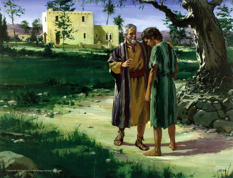 Parables of Jesus 1 - Abeka Flash-A-Card