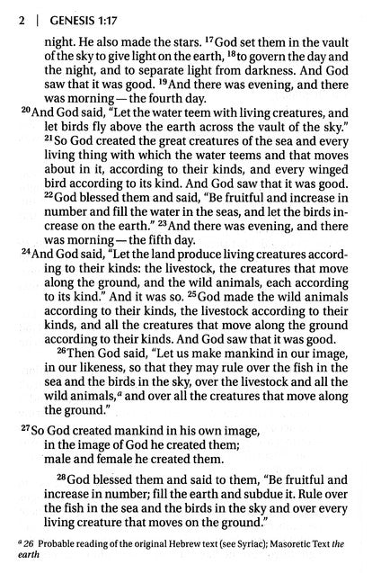 NIV Giant Print Compact Bible Brown Leathersoft