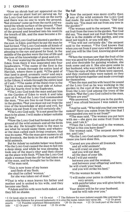 NIV Economy Outreach Bible, paperback *