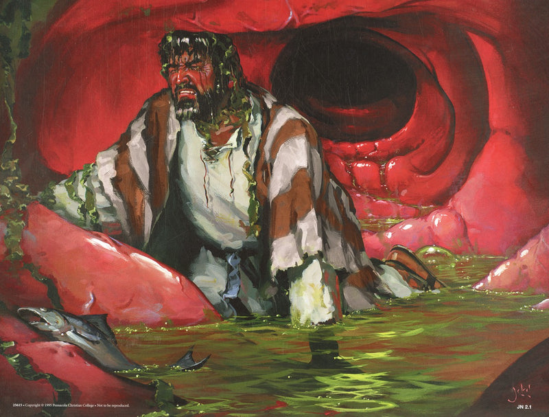 Jonah - Abeka Flash-A-Card