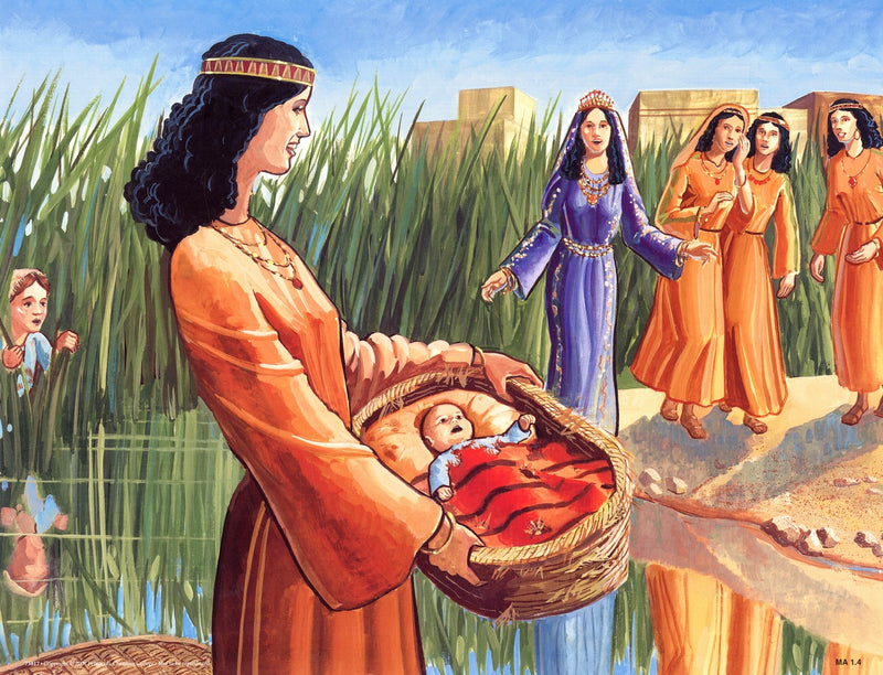 Moses in Egypt (Life of Moses Series 1)  Abeka Flash-A-Card