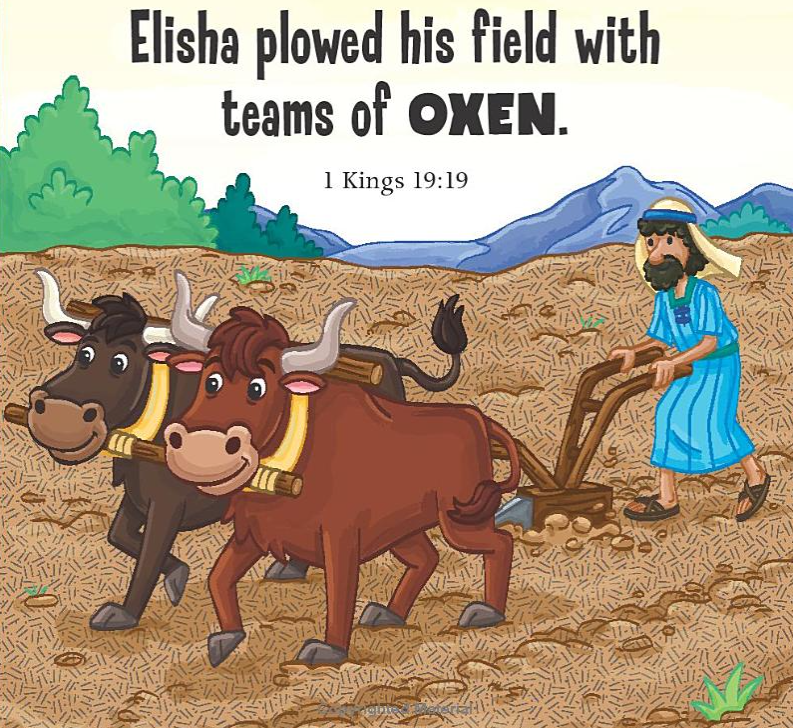 Animals in the Bible (pos)