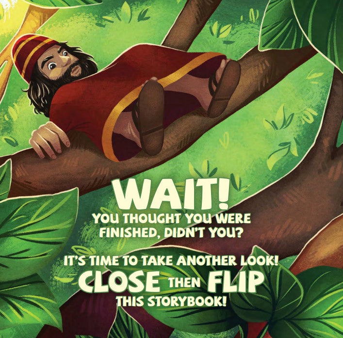 Zacchaeus and Jesus Flipside Stories