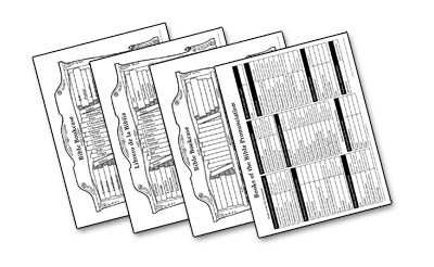 Bible Book Case Laminated Wall Chart