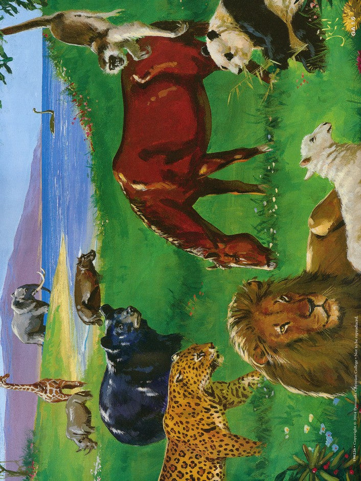 Creation, Adam, and Cain - Abeka Flash-A-Card