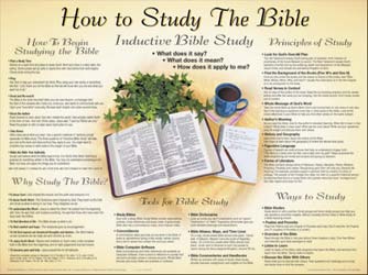 How to Study the Bible Wall Chart, Laminated