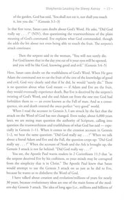 Excerpt: Page 13