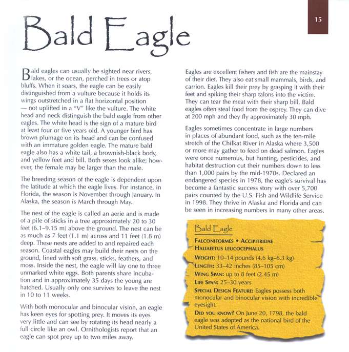 Marvels of Creation: Breathtaking Birds