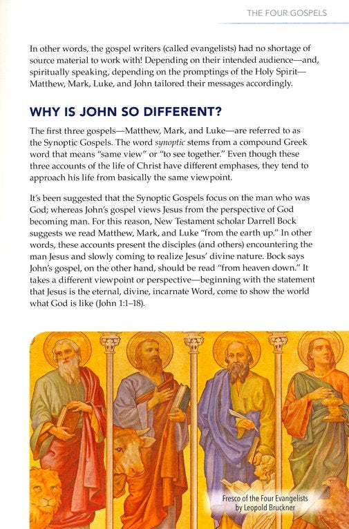 Rose Guide to the Gospels
