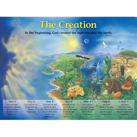 The Creation Wall Chart - Laminated — One Stone Biblical Resources