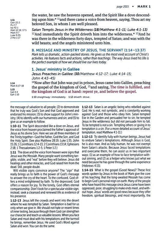 KJV Large Print Life Application Bible Brown/Mahogany LeatherLike Indexed