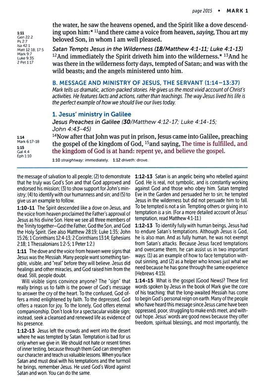 KJV Large Print Life Application Bible Brown/Mahogany LeatherLike