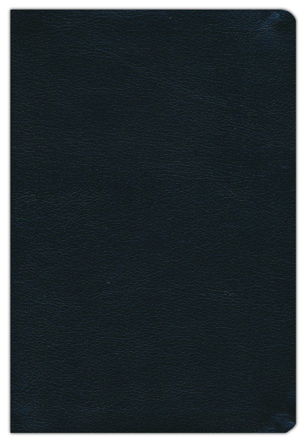 NIV Study Bible - Black Bonded Leather