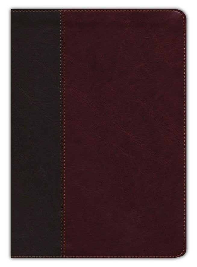 NKJV Life Application Large Print Study Bible, Brown/Mahogany LeatherLike Indexed