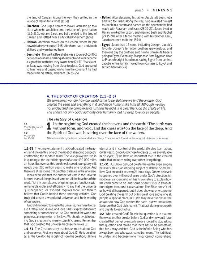 NKJV Life Application Large Print Study Bible, Brown/Mahogany LeatherLike Indexed