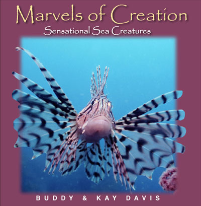 Marvels of Creation: Sensational Sea Creatures