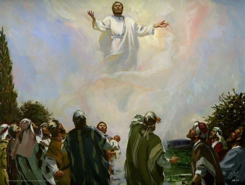 Life of Paul Series 1 - Abeka Flash-A-Card