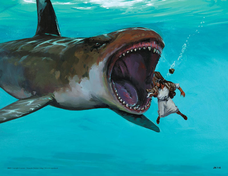 Jonah - Abeka Flash-A-Card