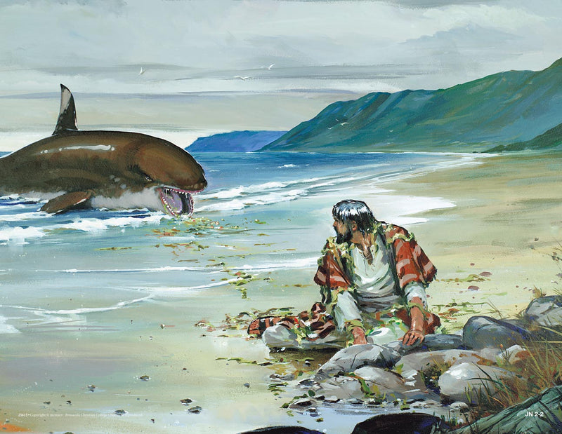 Jonah - Abeka Flash-A-Card