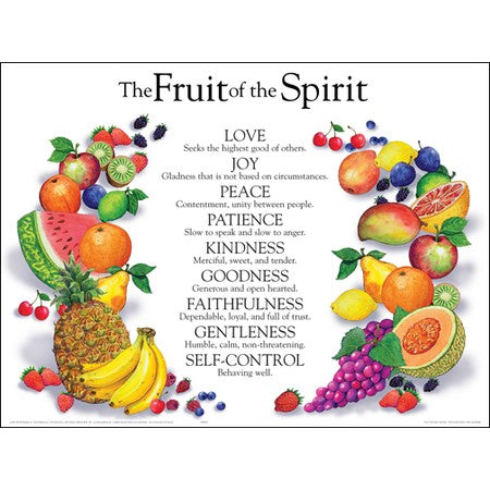 Fruit of the Spirit  Wall Chart  Laminated
