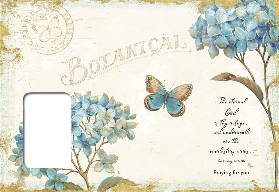 Boxed Cards - Butterflies and Flowers - Praying for You