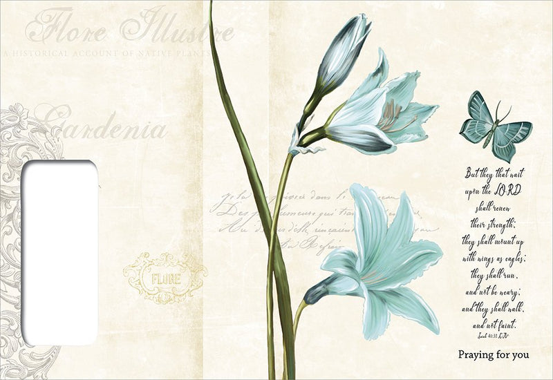 Boxed Cards - Butterflies and Flowers - Praying for You